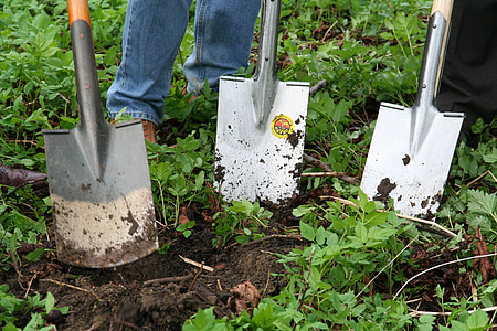 people digging soil using shovels