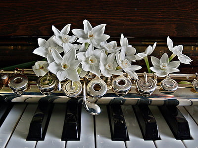 white petaled flower on brass instrument
