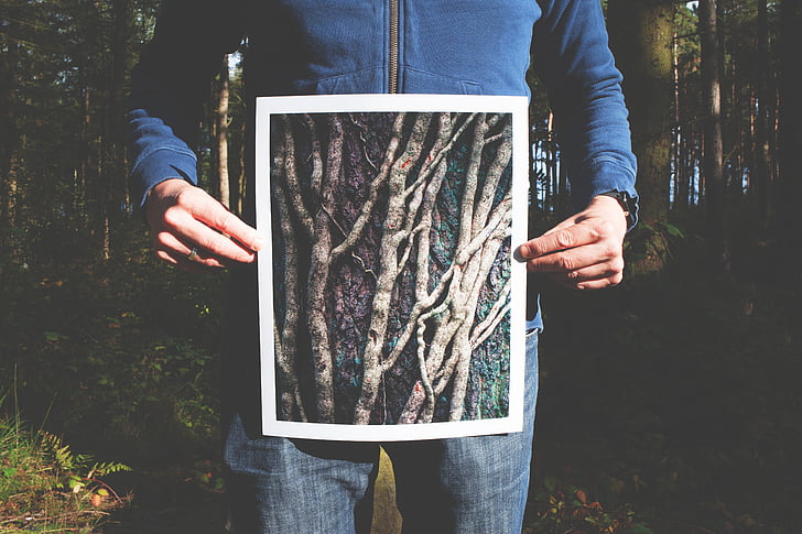 person holding photo of branches graphic wallpaper