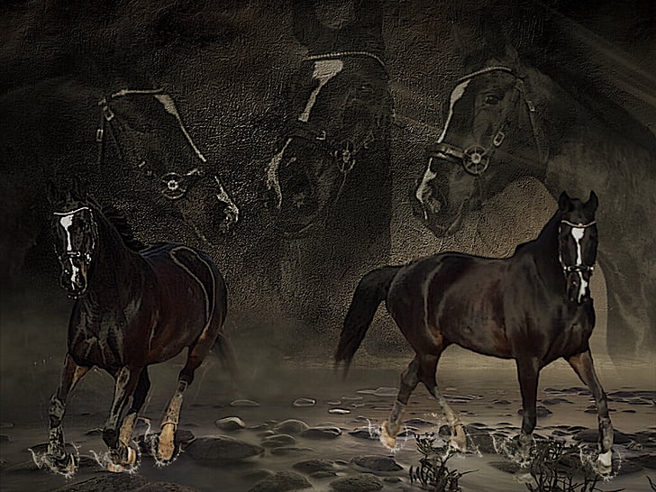 painting of two black horses