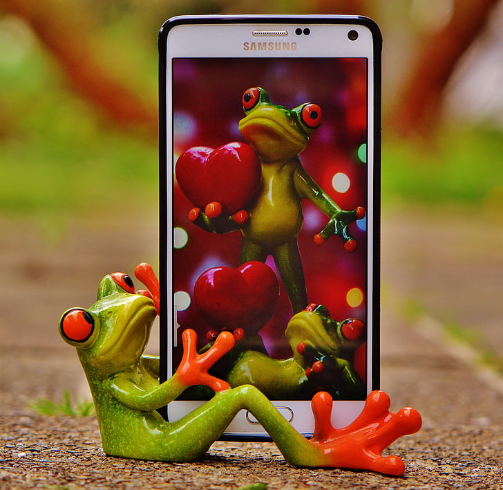 red-eyed frog smartphone wallpaper