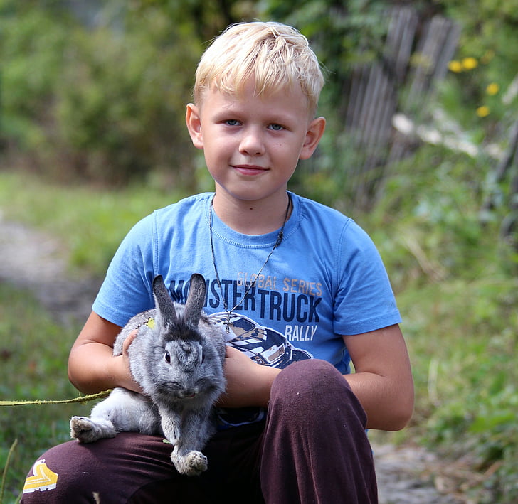 boy carrying gray rabbit