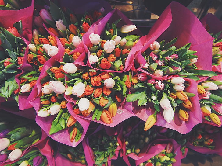 assorted-color tulip bouquet lot