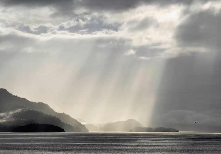 grey scale photography of sun rays