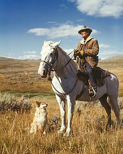 man in brown jacket riding on white horse