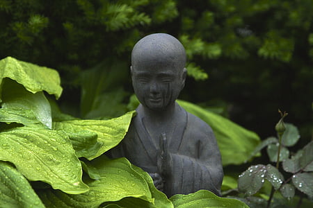 grey monk statue surrounded with green leaf plants