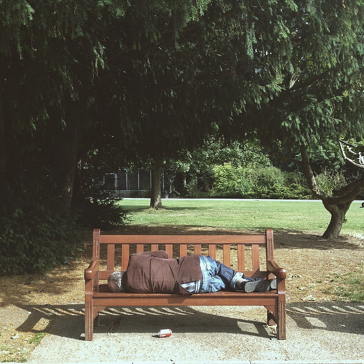 person sleeping on bench near tree