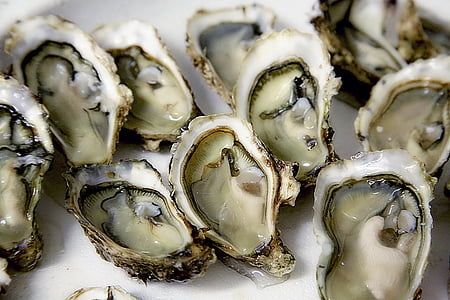 closeup photography of opened oysters