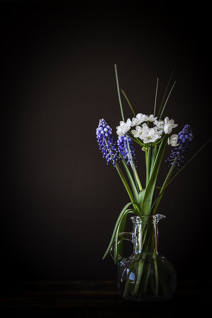 rule of thirds photography of white and blue flowers