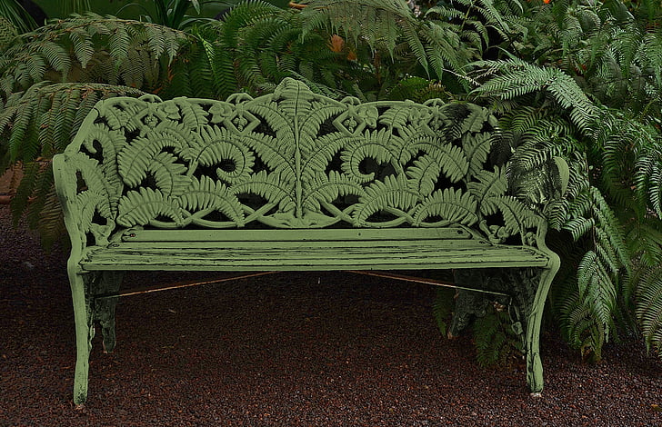 white wooden bench beside green leafed plant