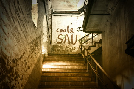 coole sau wall paint near stairs