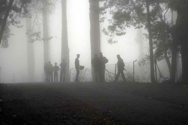 group of men on fog covered forest