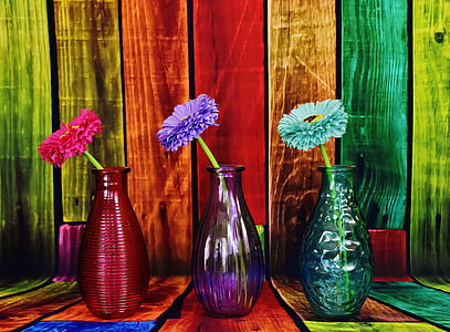 three assorted-color petaled flowers with glass vases