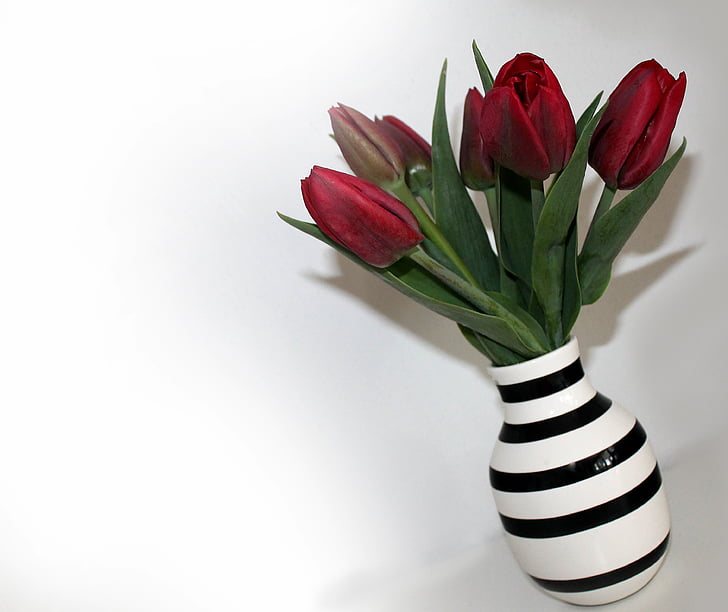 red tulips in white and black striped ceramic vase