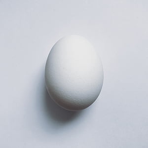 white egg on white platform