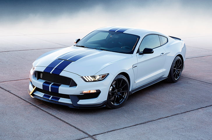 white and blue Ford Mustang on gray concrete road