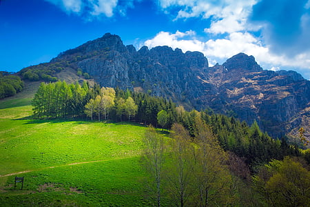 green trees near mountains under blue sky