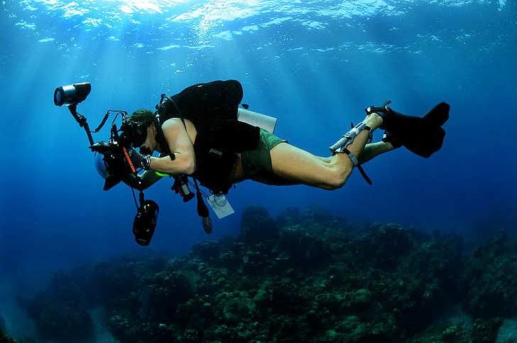 person filming underwater photo during daytime