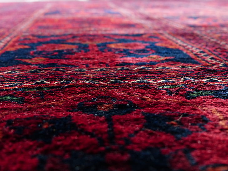 red and blue floral area rug in low angle photography