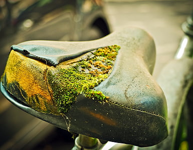 close-up photo of bicycle seat covered with moss
