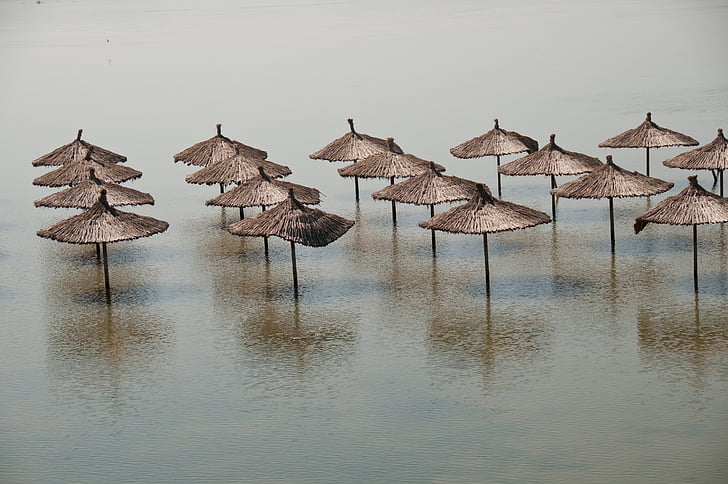 brown parasols on body of water