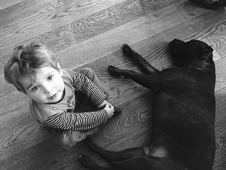toddler sitting on floor beside black dog