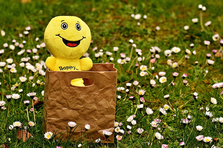 emoji plush toy in brown handbag on white petaled flowers