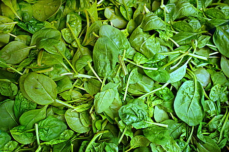photo of green water spinach