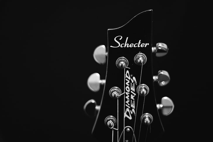black Schecter guitar headstock