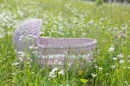 pink and white bassinet on green grass field at daytime photo