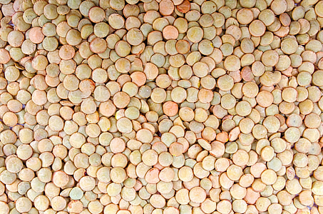 close-up photo of brown pellets