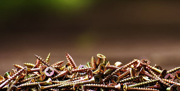 brass-colored screw lot