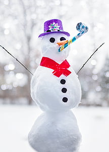 shallow focus photography of snowman