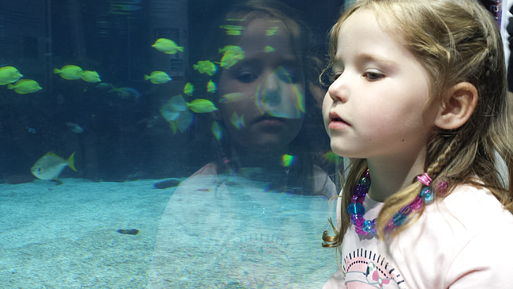 girl in pink shirt near aquarium