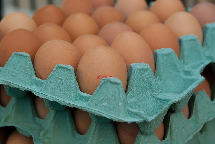 eggs, market, hens, egg carton, egg, food and drink