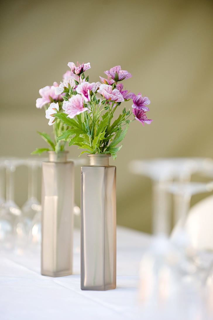 selective focus photograph of purple petaled flowers with vases