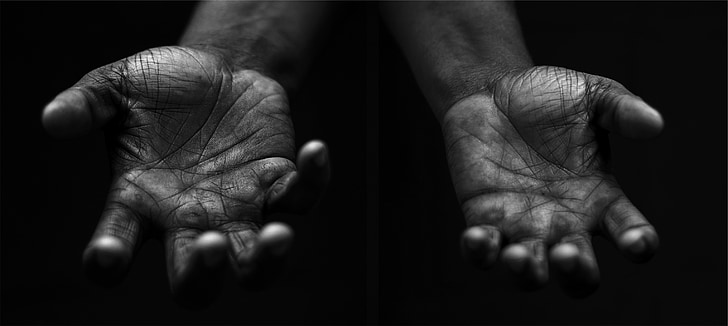two human hand photo