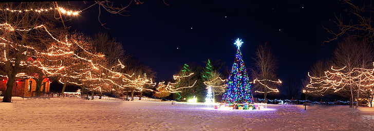 Christmas-themed park during night