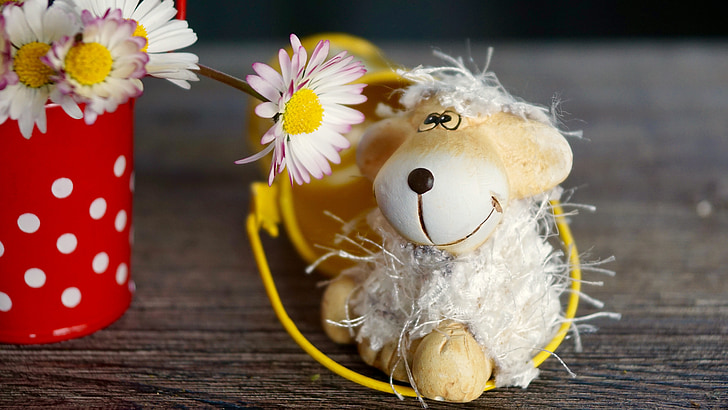 white sheep plush toy beside white daisy flower