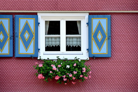 pink flowers beside window