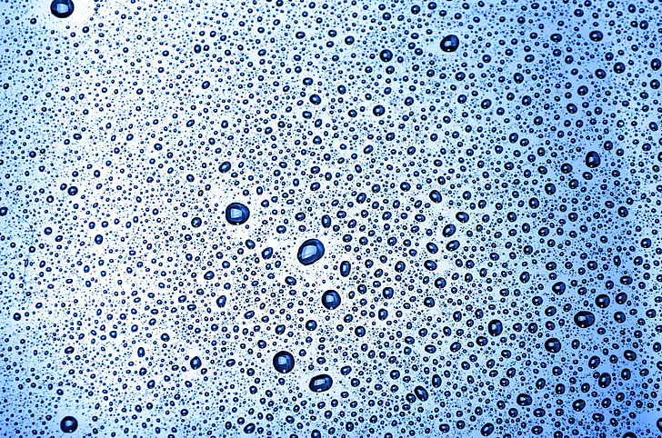 closeup photography of water dew drop