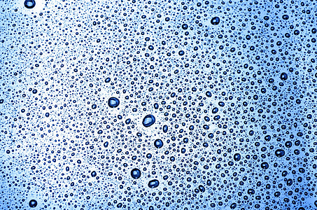 closeup photography of water dew drop