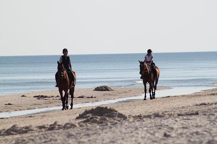 two person riding horse beside seashore during daytime
