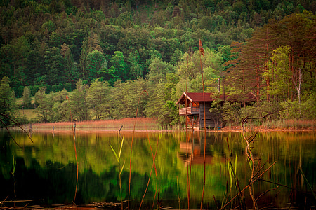 grey cabin near trees and calm body of water