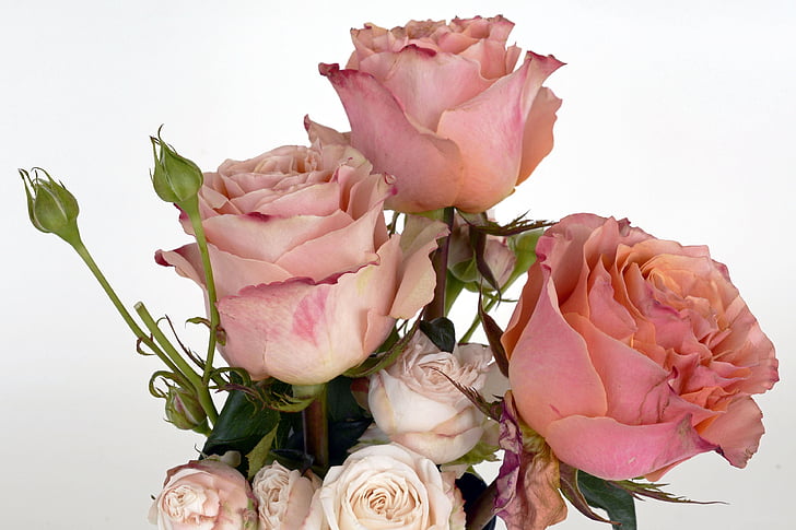 pink and white rose flower arrangement