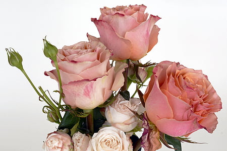 pink and white rose flower arrangement