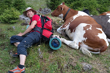 man laying on grass beside brown and white cow