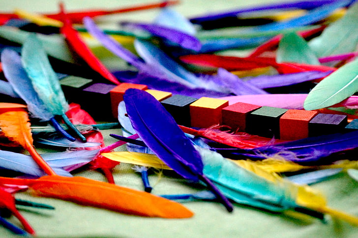 assorted-color feather lot