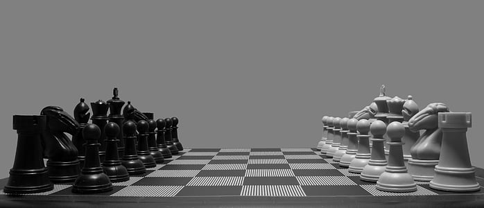white and black chess board set
