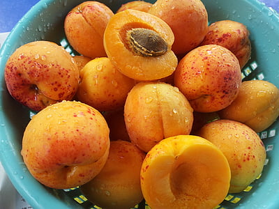 pile of round orange fruits